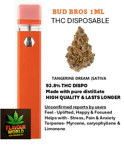Bud Bros - 1ML THC Disposable - Tangerine Dream (Sativa)