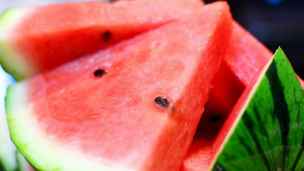 CAP Succulent Watermelon