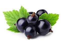 CBE - Blackcurrant Supreme