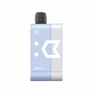Elf Bar EW9000 (POD+BATTERY KIT) Grape 5%
