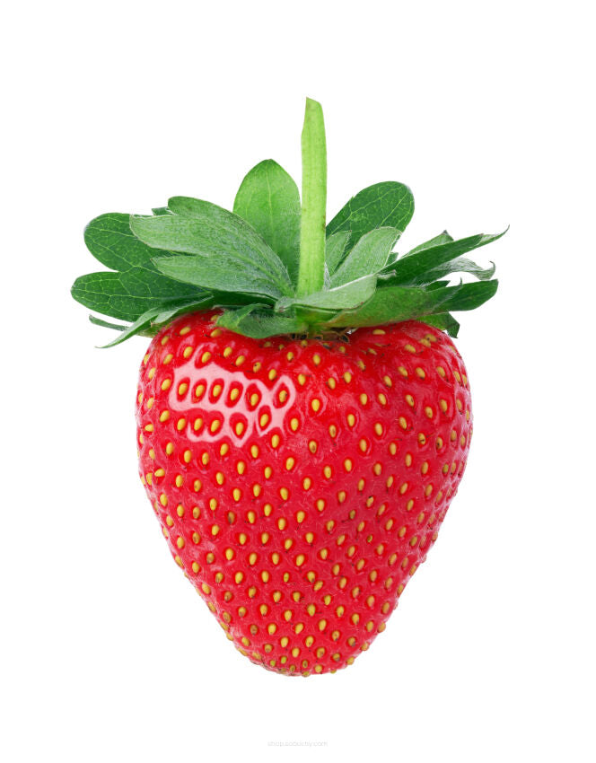 SSA -Garden Strawberry