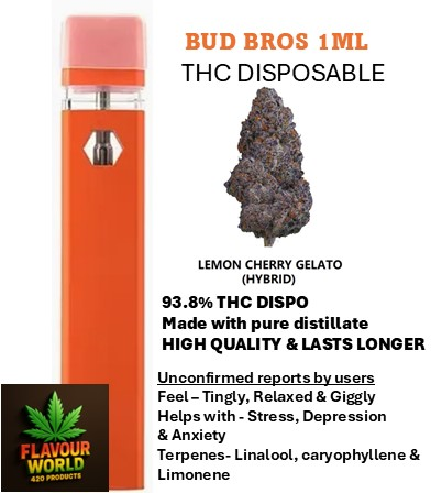 Bud Bros - 1ML THC Disposable - Lemon Cherry Gelato (Hybrid)