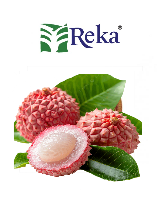 REKA - Juicy Lychee