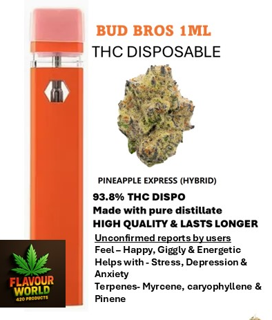 Bud Bros - 1ML THC Disposable - Pinapple Express (Hybrid)