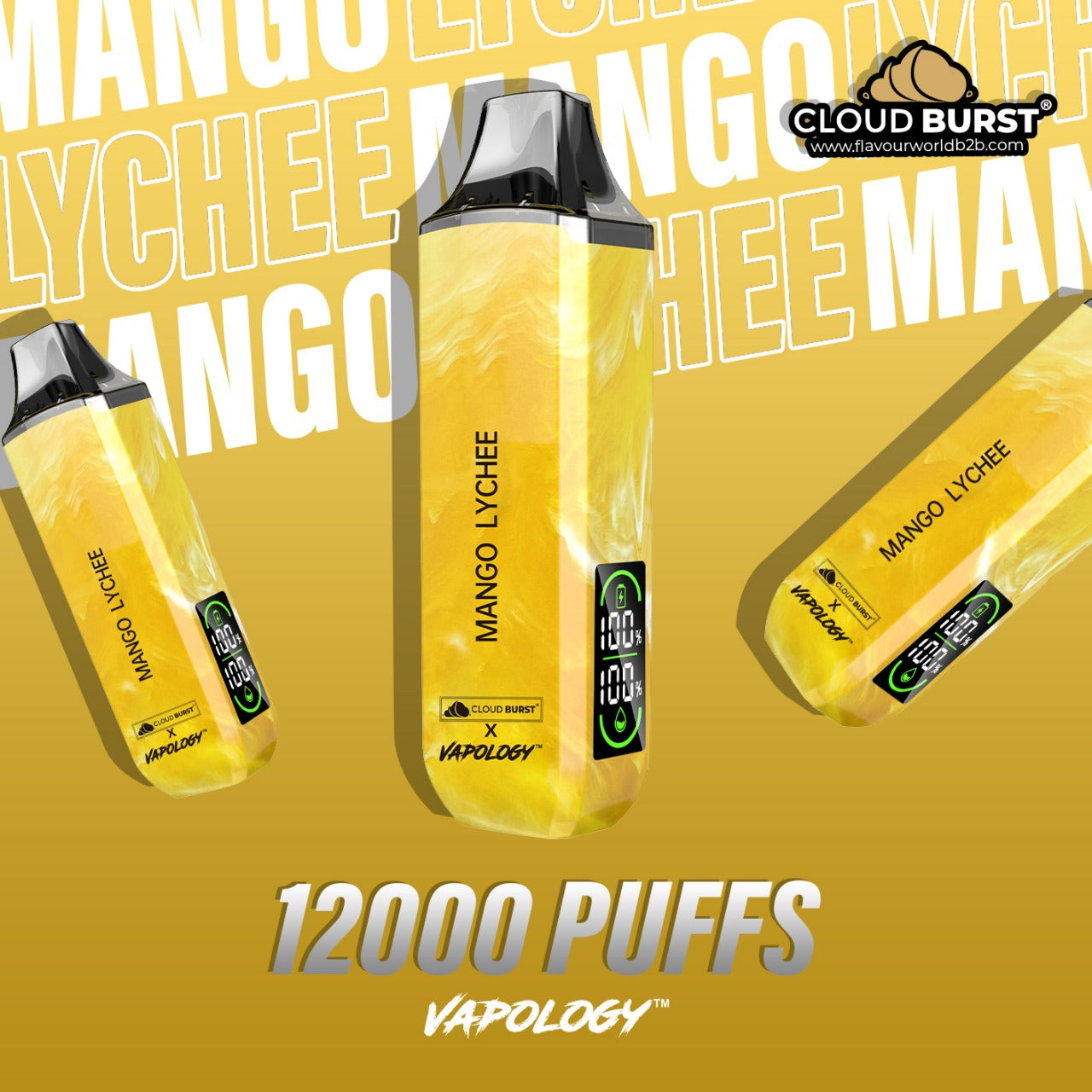 Cloud Burst X Vapology  - 12000 Puff Mango Lychee