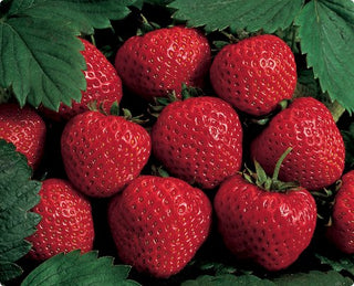 CAP Luscious Strawberry