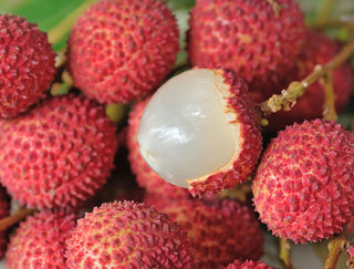 Lin Lang - New Litchi (LL)