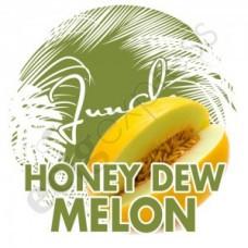 JF Honeydew Melon-DIY Concentrates – www.flavourworld.co.za