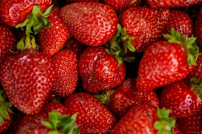 SSA - Strong Strawberry