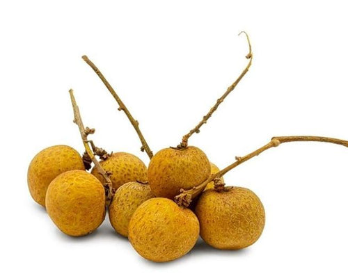 (FSA) Malayian Longaan