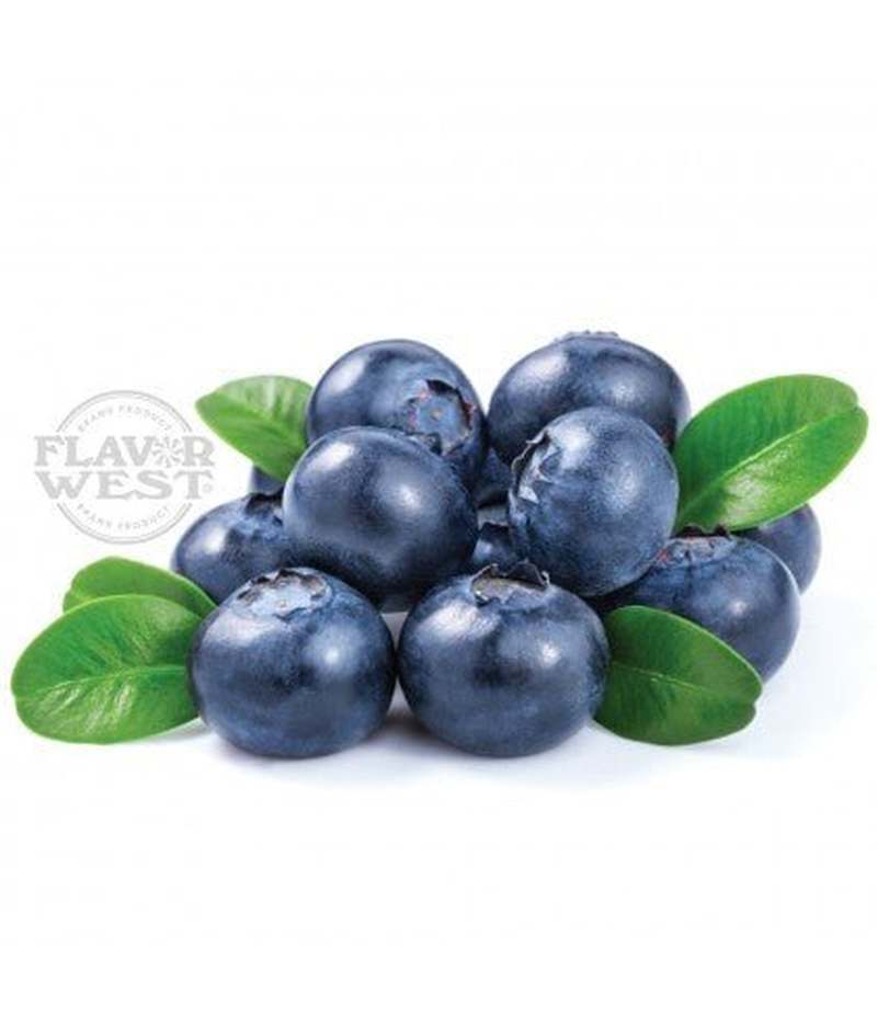FW Blueberry - Flavour World SA