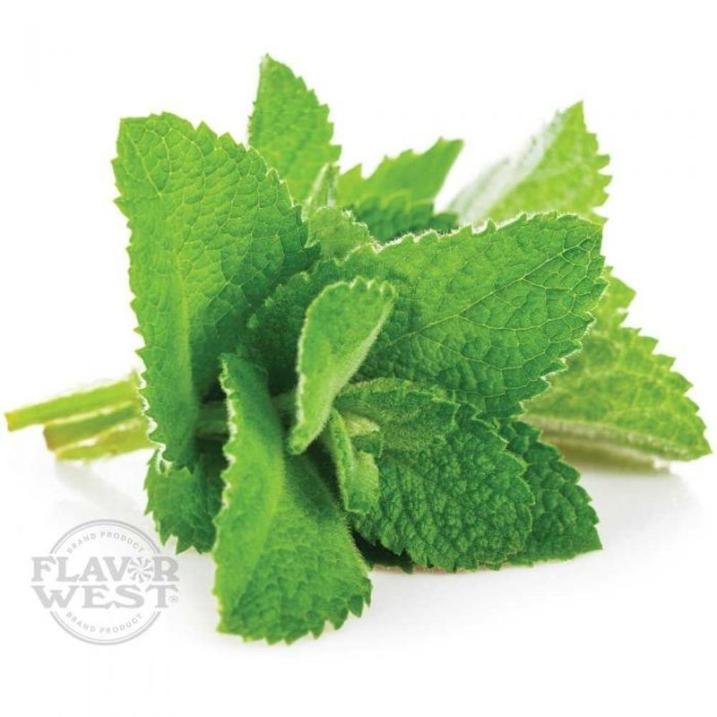 FW Spearmint - Flavour World SA