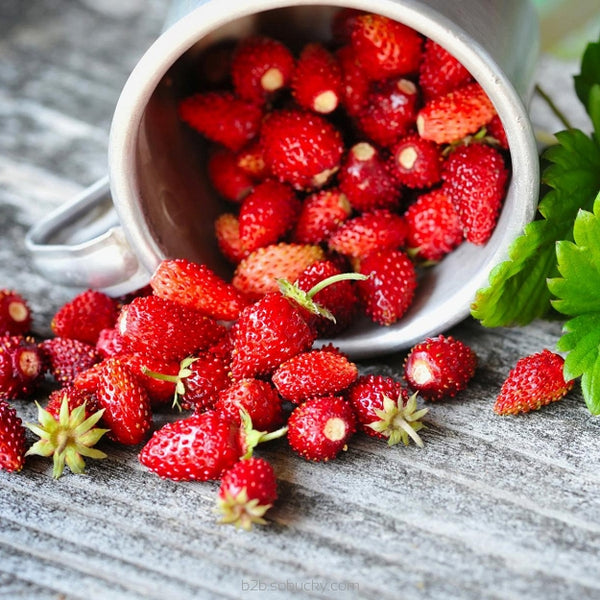 SSA - Natural Wild Strawberry