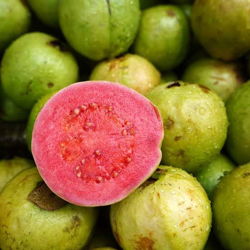 Lin Lang - Guava (LL) - Flavour World SA
