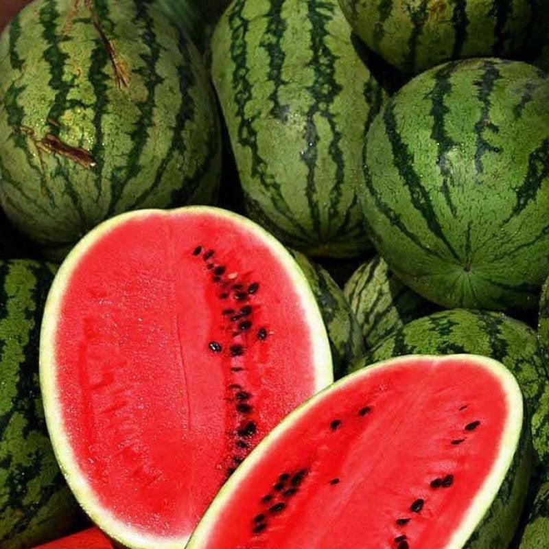 Lin Lang - New Sweet Watermelon (LL) - Flavour World SA
