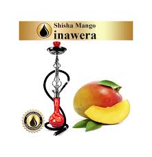 INW Shisha Mango-DIY Concentrates – www.flavourworld.co.za