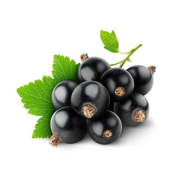 Fresh Raw Blackcurrant V2 by Flavour World SA, showcasing vibrant blackcurrants with green leaves and natural texture.