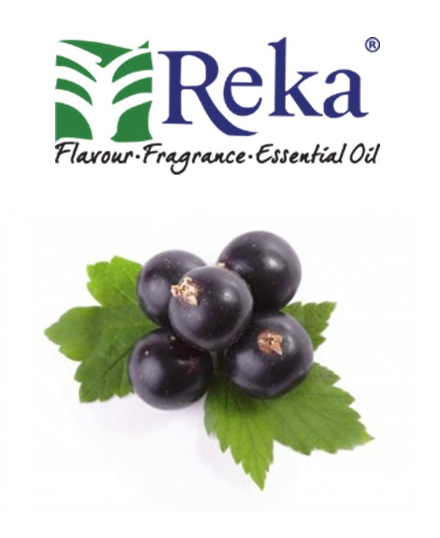 REKA - Blackcurrant - Flavour World SA