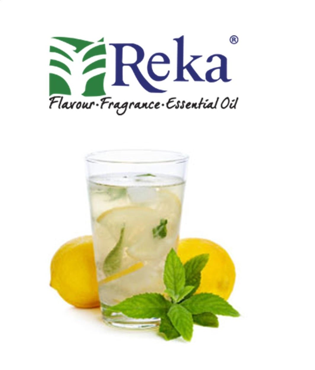REKA - Lemonade Fresh - Flavour World SA