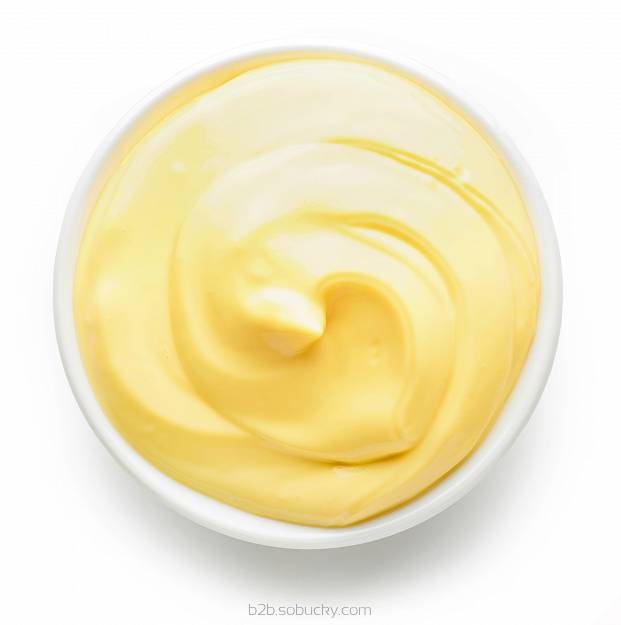 Bavarian cream dessert by Flavour World SA, smooth and creamy with a rich, velvety texture in a white bowl