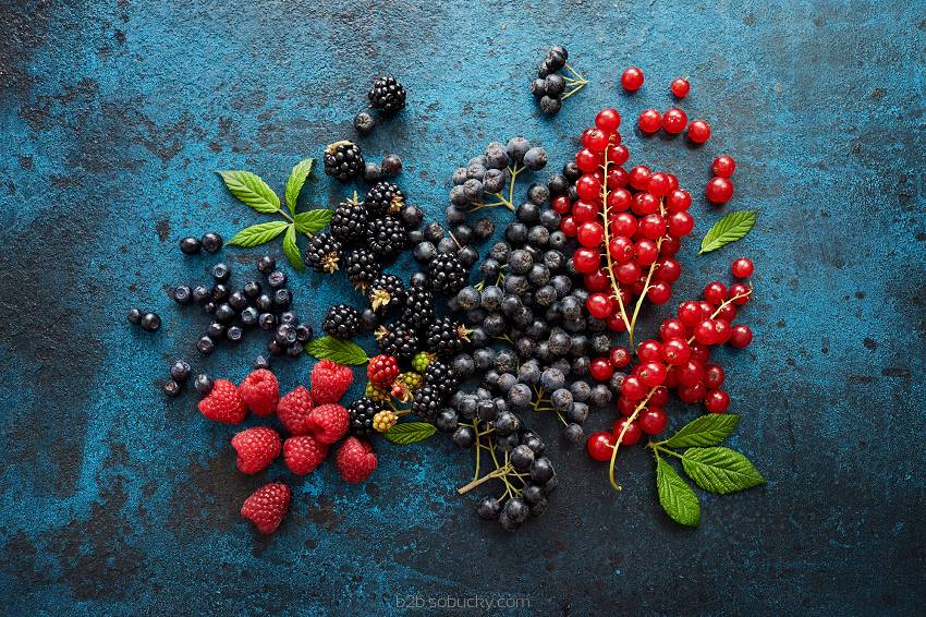Assorted forest berries from SSA by Flavour World SA, displayed in a natural arrangement on a wooden surface.