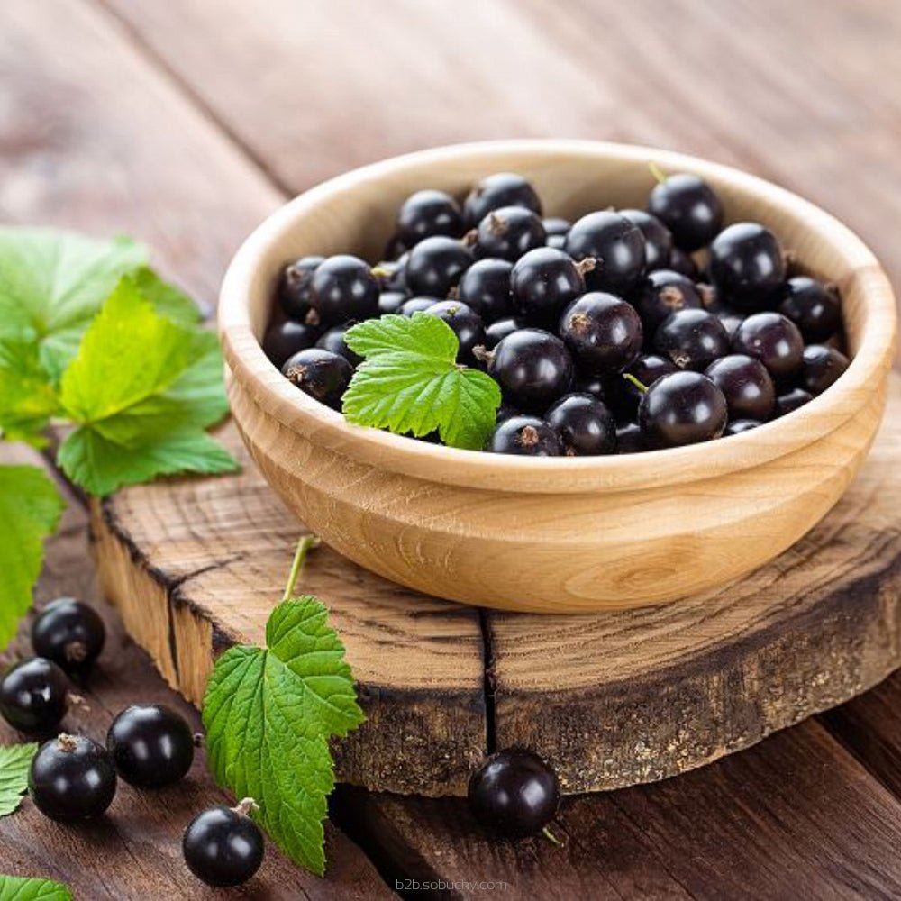 Blackcurrant flavor by Flavour World SA in a clear bottle, showcasing deep purple-black berries and vibrant liquid.