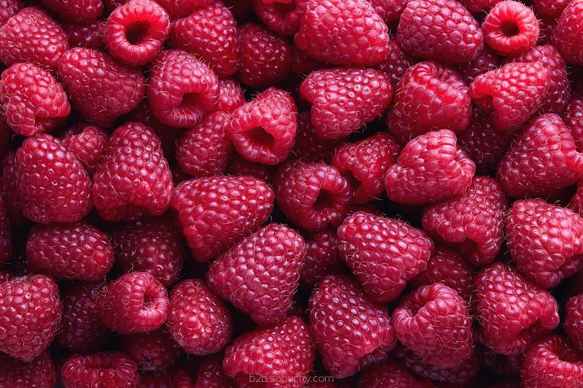 Premium Flavour World SA raspberry flavor bottle with bright label, showcasing fresh raspberry imagery and vibrant colors.