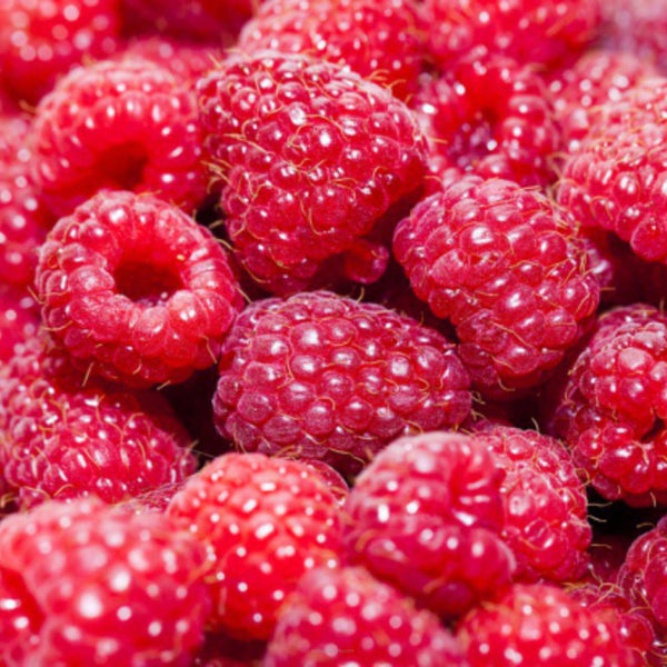 SSA - Natural Raspberry