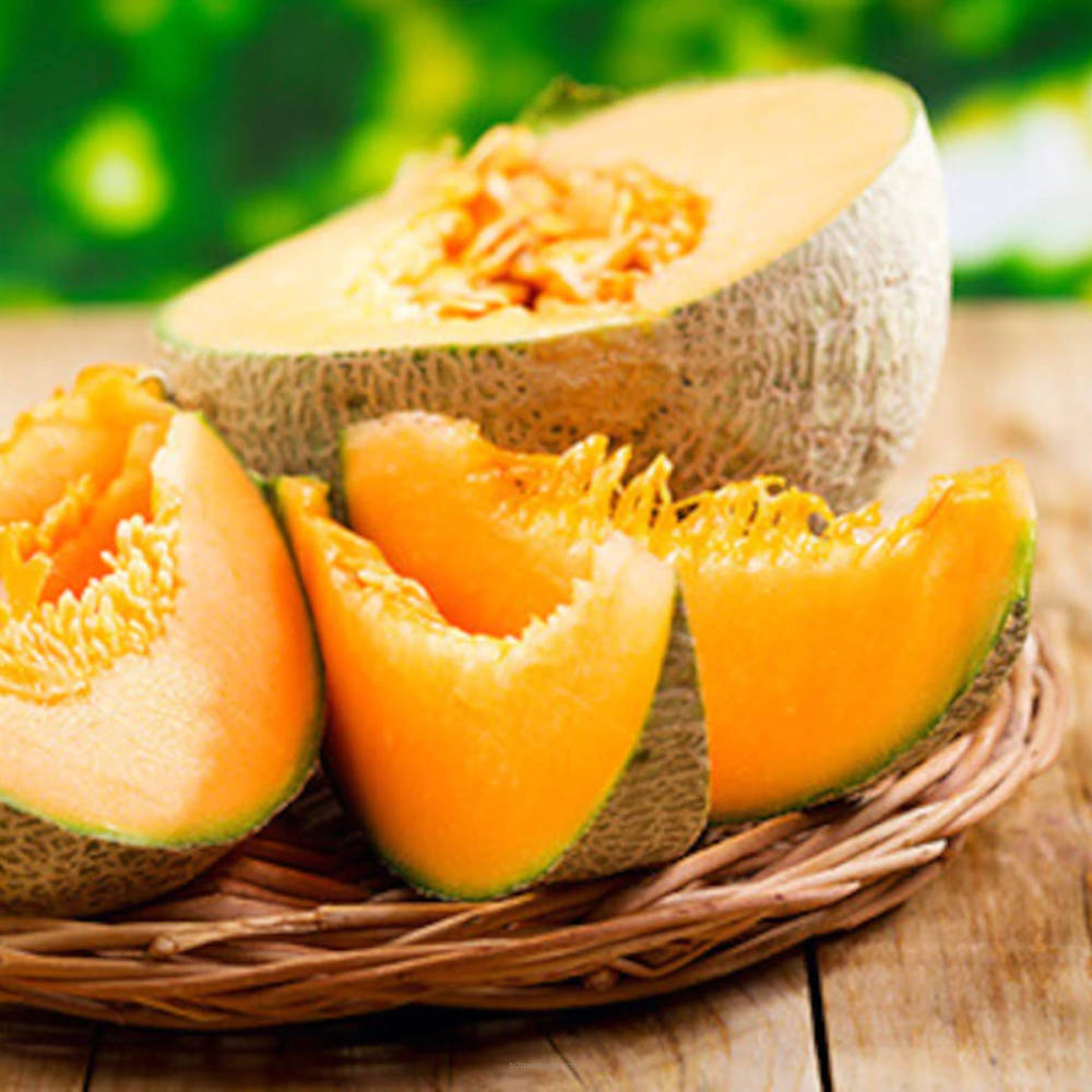 SSA - Melon