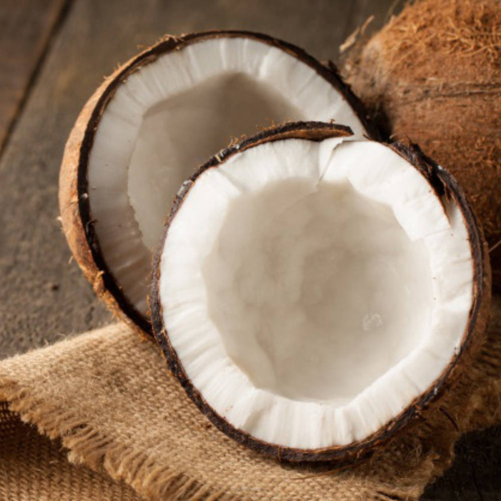 SSA - Ripe Coconut
